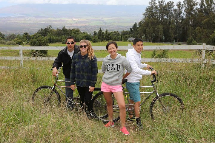 Haleakala Downhill Bike Ride with Hotel Pickup image