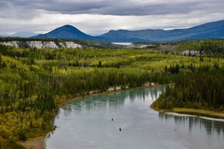 Takhini River Summer Camping  image