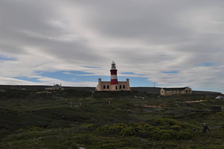 Agulhas Tour image