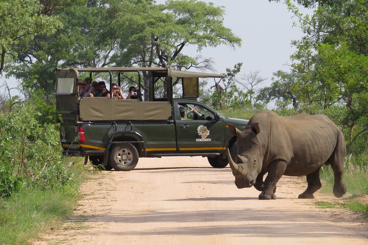 Kruger National Park Afternoon Safari for 1-10 clients image