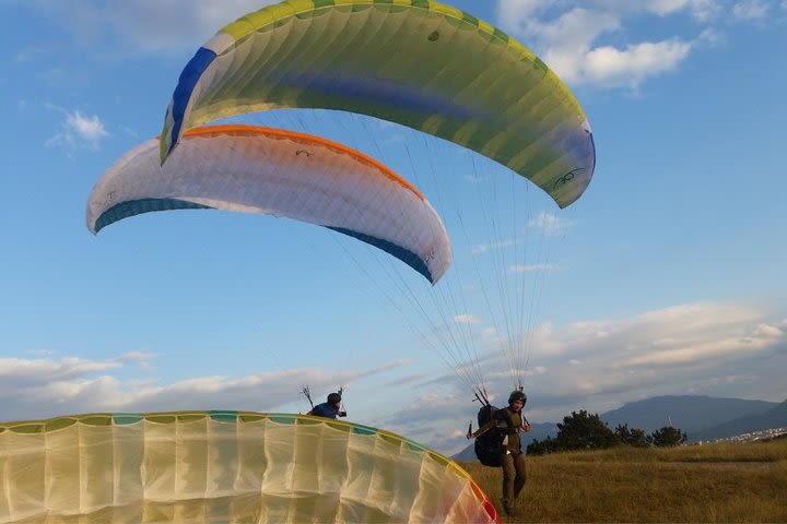 Paragliding over Brasov image