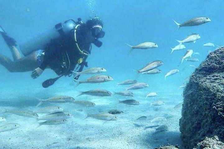 Beginner Scuba Diving Adventure w Videos image