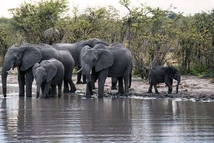 Zambezi Sunset Cruise, Victoria Falls image