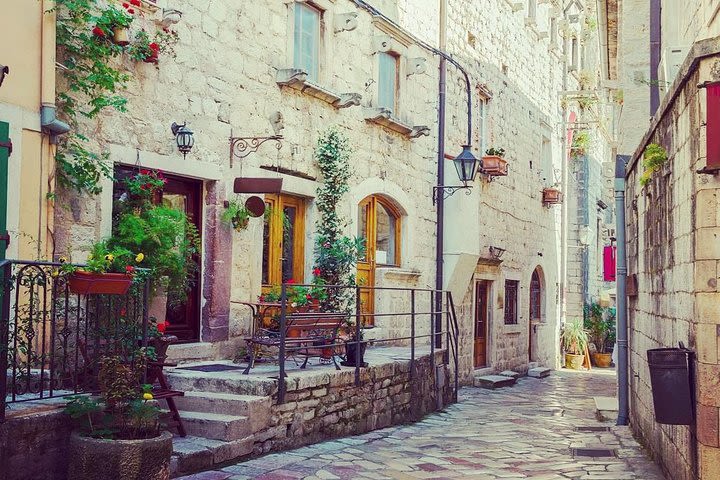 Kotor Old Town Small-Group Walking Tour image