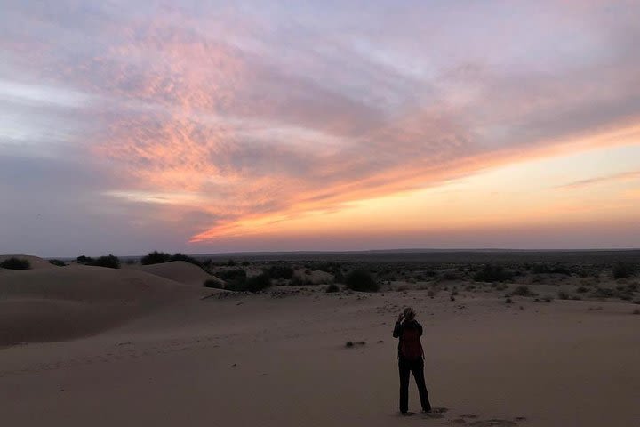 An Non Touristic Half Day Camel Safari image