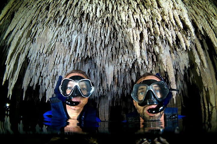 Half-Day Underwater World Tour image