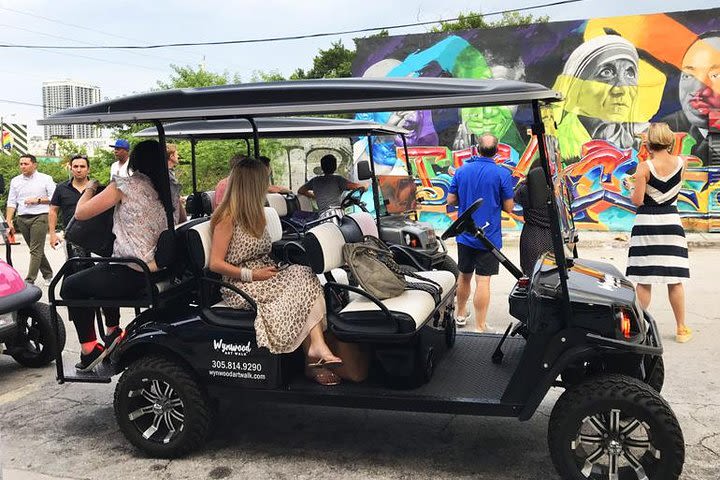 Wynwood Graffiti Golf Cart Small-Group Tour image