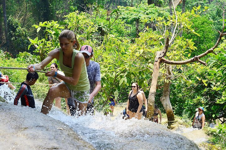 Best of Chiangmai day trip Temples and Sticky waterfall image