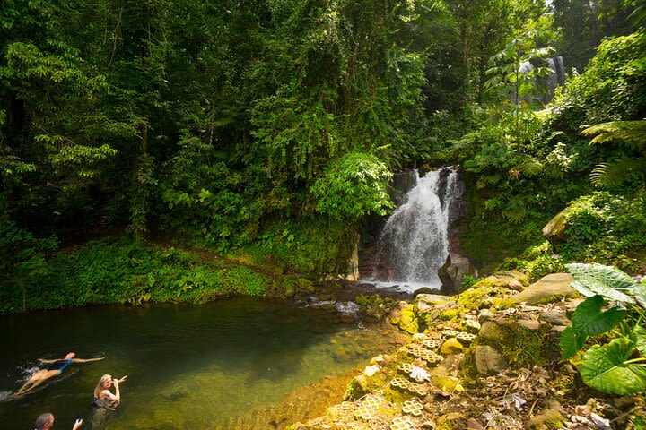 Rincon de la Vieja Day Trip Adventure from Playa Del Coco image