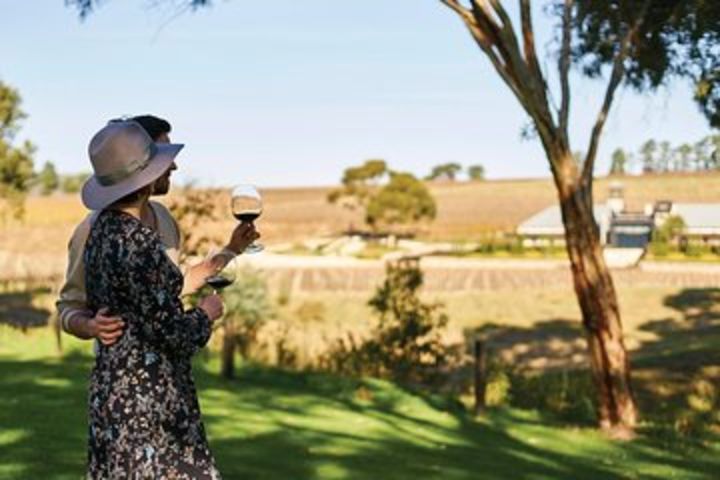 Micro-Group McLaren Vale Wine Tour from Adelaide image