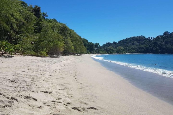 Manuel Antonio National Park Day Trip image