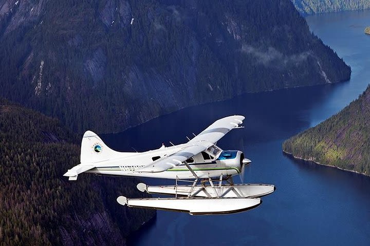 Misty Fjords Flight Tour image