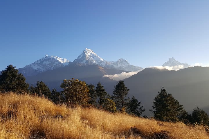 Ghorepani Poonhill Hiking Nepal image