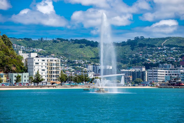 Wellington Sightseeing Tour image