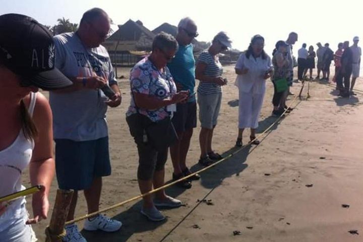 Acapulco City Tour and Turtle Release image