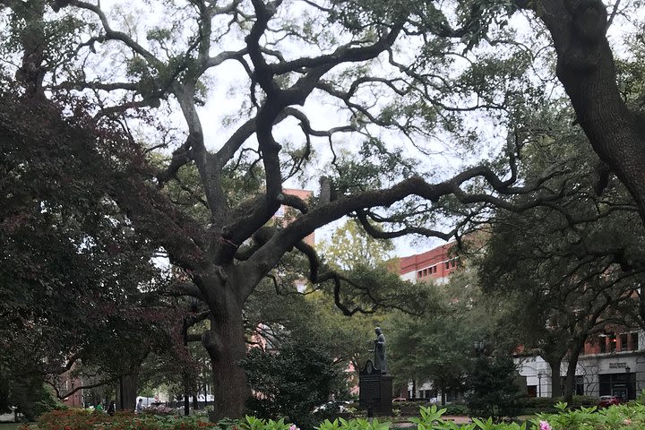 Welcome to Savannah Guided Walking Tour image