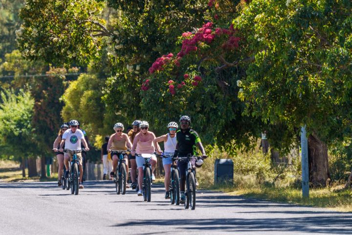 Franschhoek Half Day Winelands Cycle Tour image