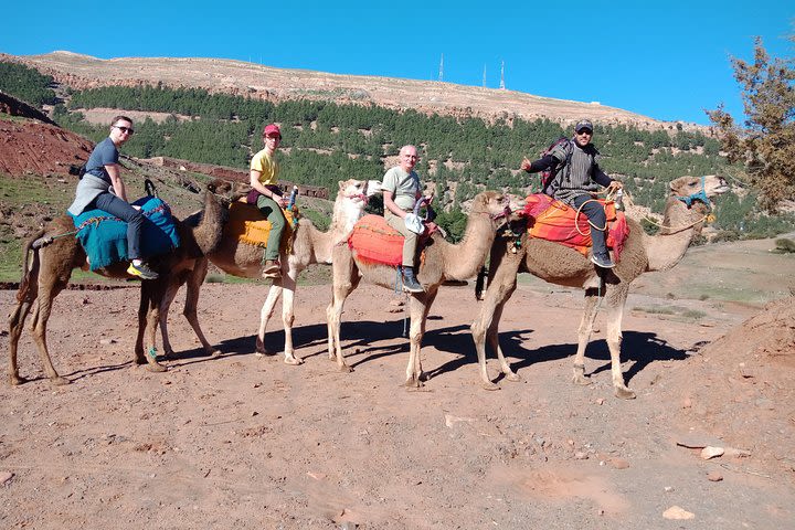 Day Trip to Atlas Mountain and camel ride  image