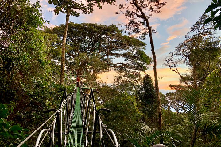 Adventure with propose Savia Experience Monteverde  image