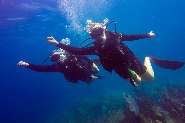 Catalina Island With Scuba Diving - Amazing Full Day Tour Activity image