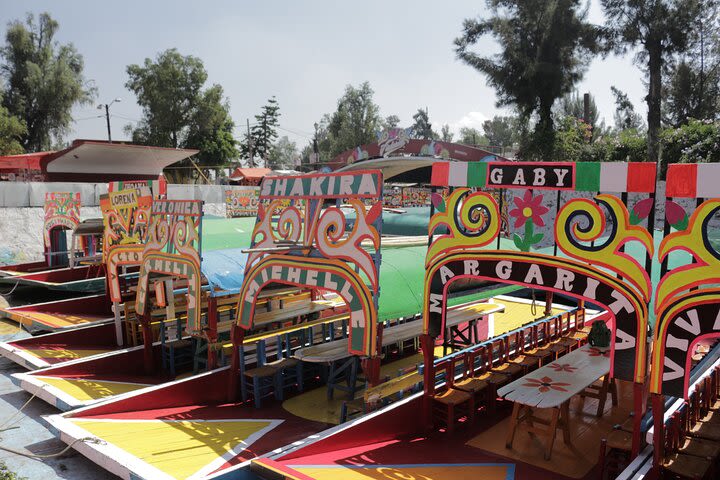 Dolores Olmedo Museum and boat ride in Xochimilco floating gardens image