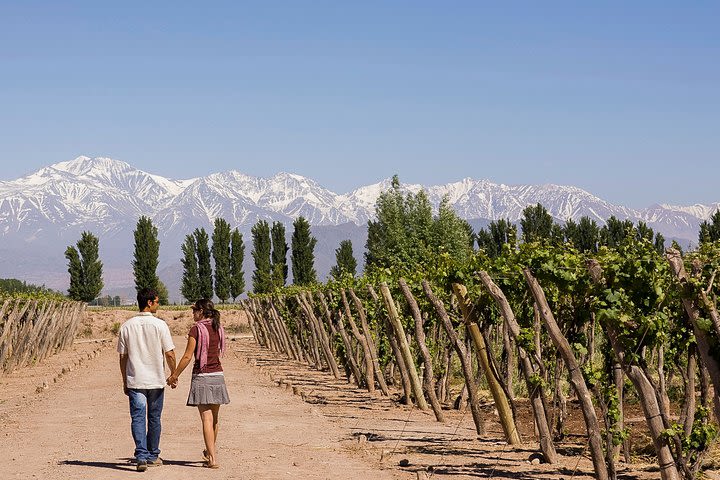 4-Day Semi-private Mendoza Wine Experience image