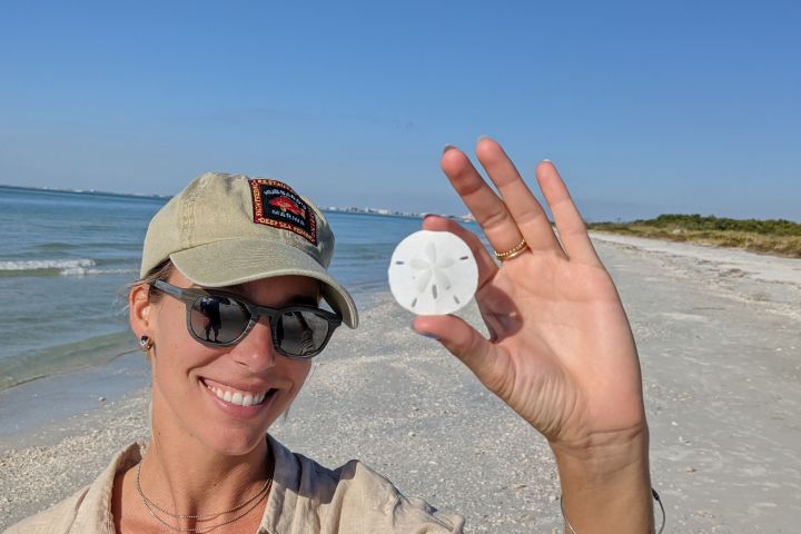 Shell Key Ferry image