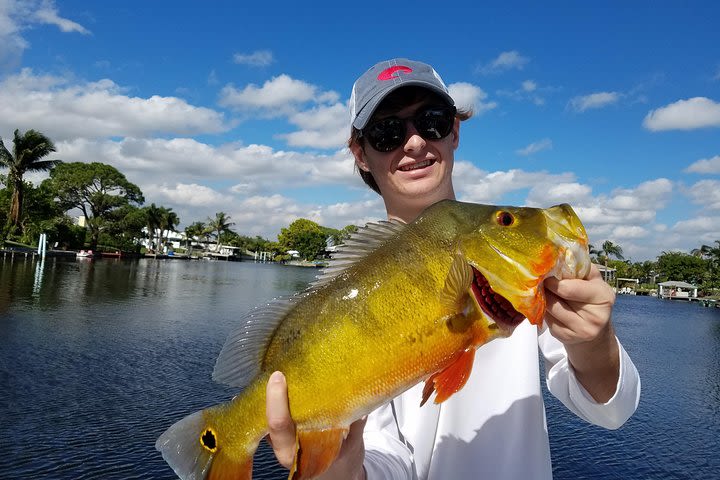 Peacock Bass Fishing Trip near Palm Beach image