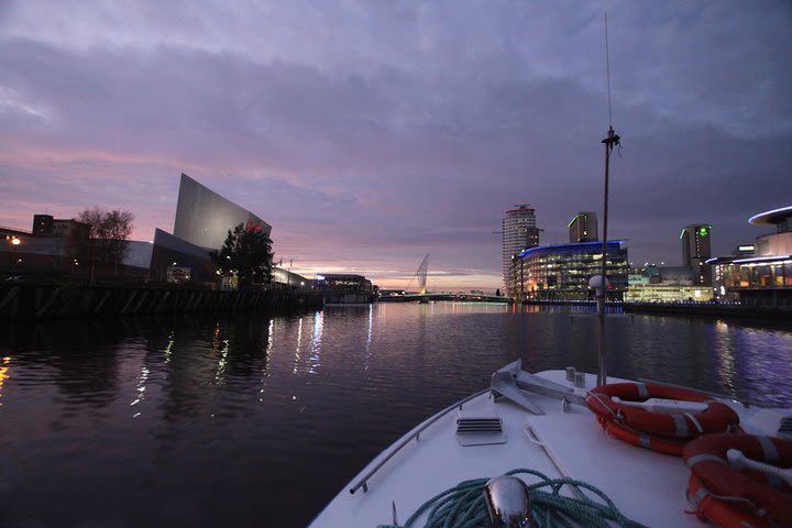 ELVIS on the River image