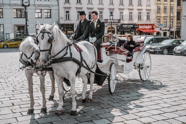 Vienna Horse-Drawn Carriage Ride with Sparkling Wine and Food image