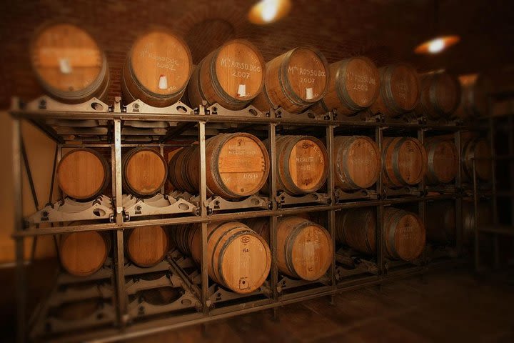 Visit among vineyards and wine cellar with wine tasting in Nizza Monferrato image