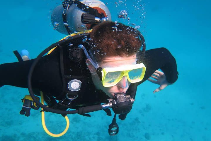 Daily diving for certified divers image