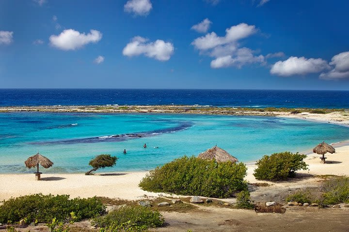  Half-Day Tour in the Sunrise City of Aruba image