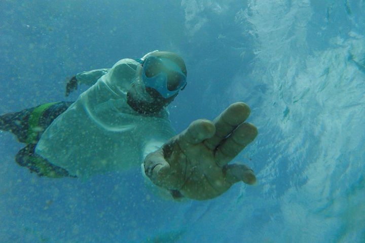 The best Thing to do in Tobago at Night Bioluminescence Tour. image