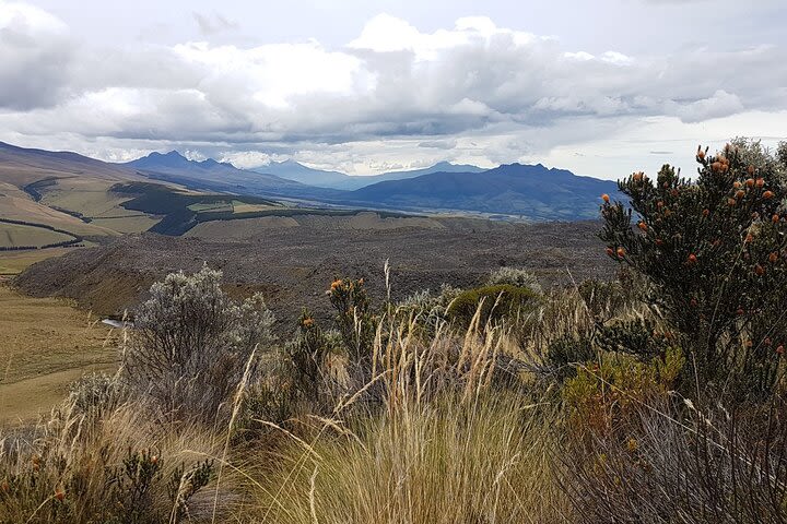 Private Excursion to Chakana Reserve Antisana image