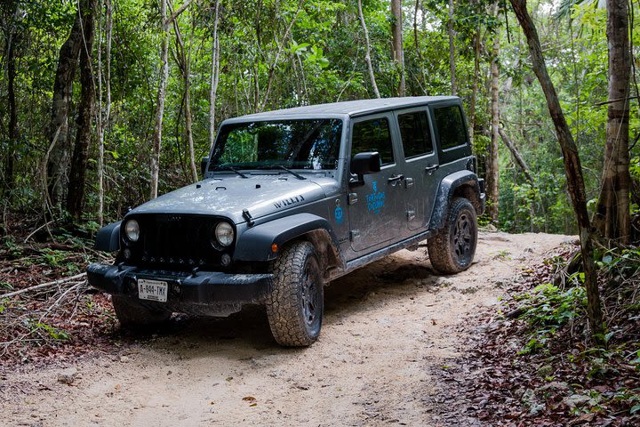 Tortugas Jeep Adventure & ATV Jungle Experience (Private) image