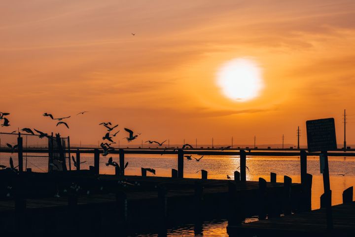 2-Hour Sunset Party Pontoon Rental image
