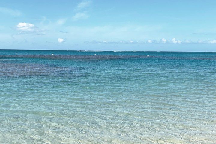 Explore the East of PR-El Yunque Natural Slide/Luquillo Beach  image