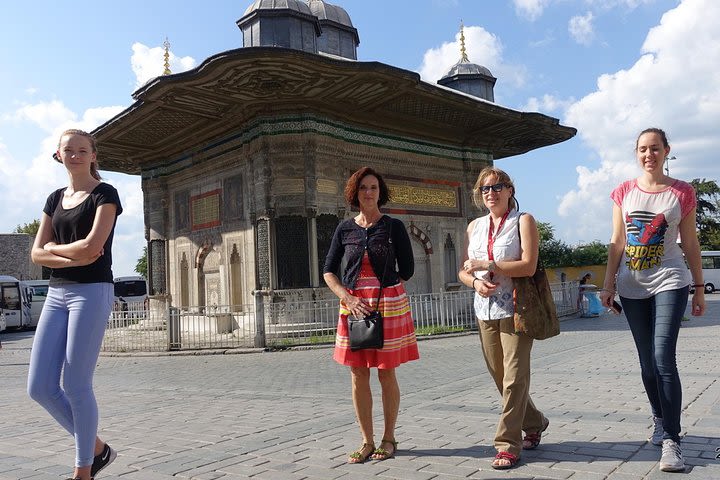 Introduction to Istanbul Old Town private tour image