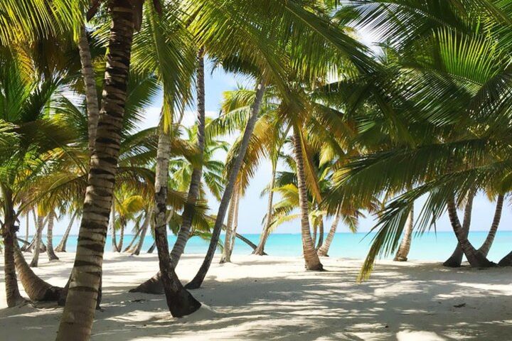 Saona Island Excursion – Caribbean Paradise image