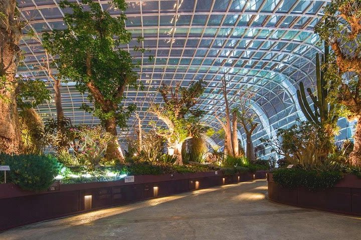 Gardens by the Bay with Hotel Pick Up  image