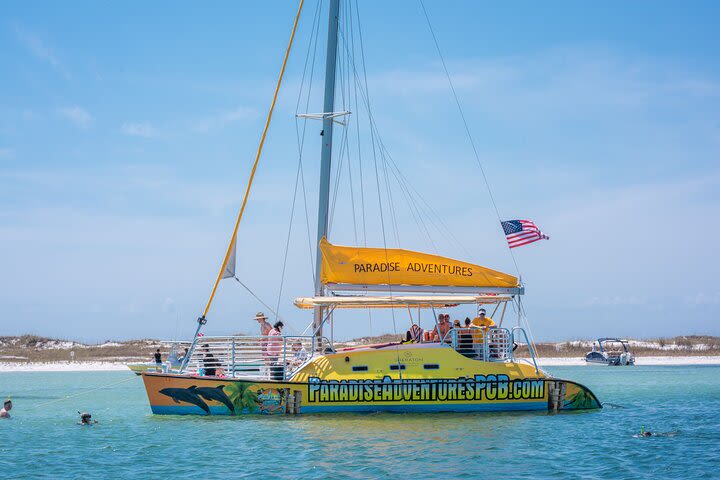 Catamaran Snorkel and Dolphin Watch Tour in Panama City Beach image