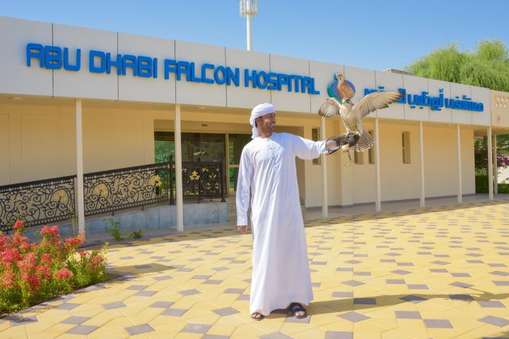 Sheikh Zayed Mosque & Falcon Hospital Tour image