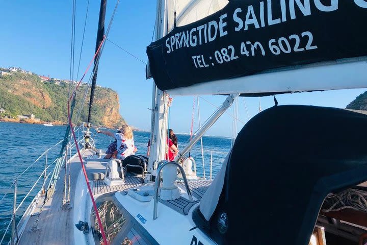 Knysna Day Sail & Lunch Charter 2.5 Hour image