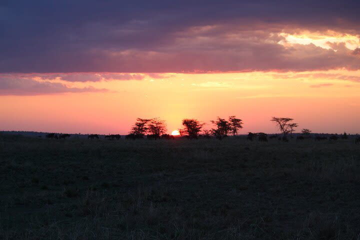 7-Day Private Tanzania Safari with Sunset Walking on the Crater Rim and Maasai image