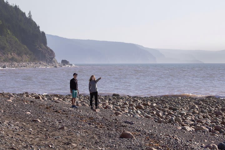 St Martins Fundy Trail image