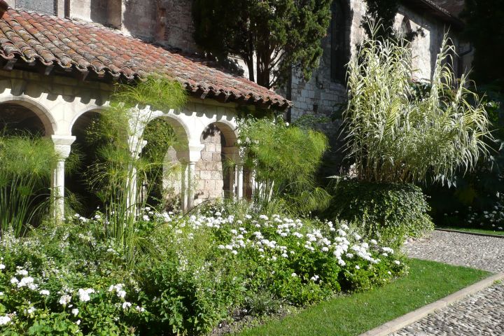 Albi Guided Walking Tour (private) image