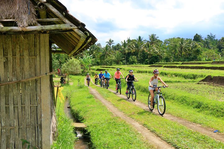 Bike ride in French / English in rice fields, countryside and school visit image