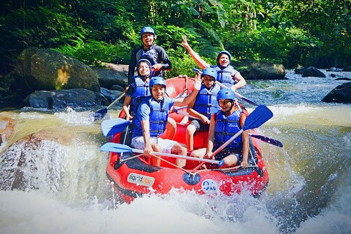 Ayung White Water Rafting and Ubud Art Village Tour : Bali Best One Day Trip image