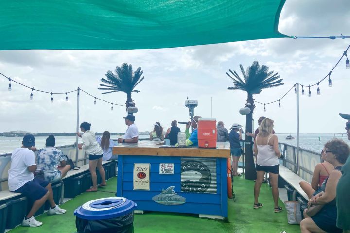 Dolphin Boat Ride and Lunch at Clearwater Beach Adventure image